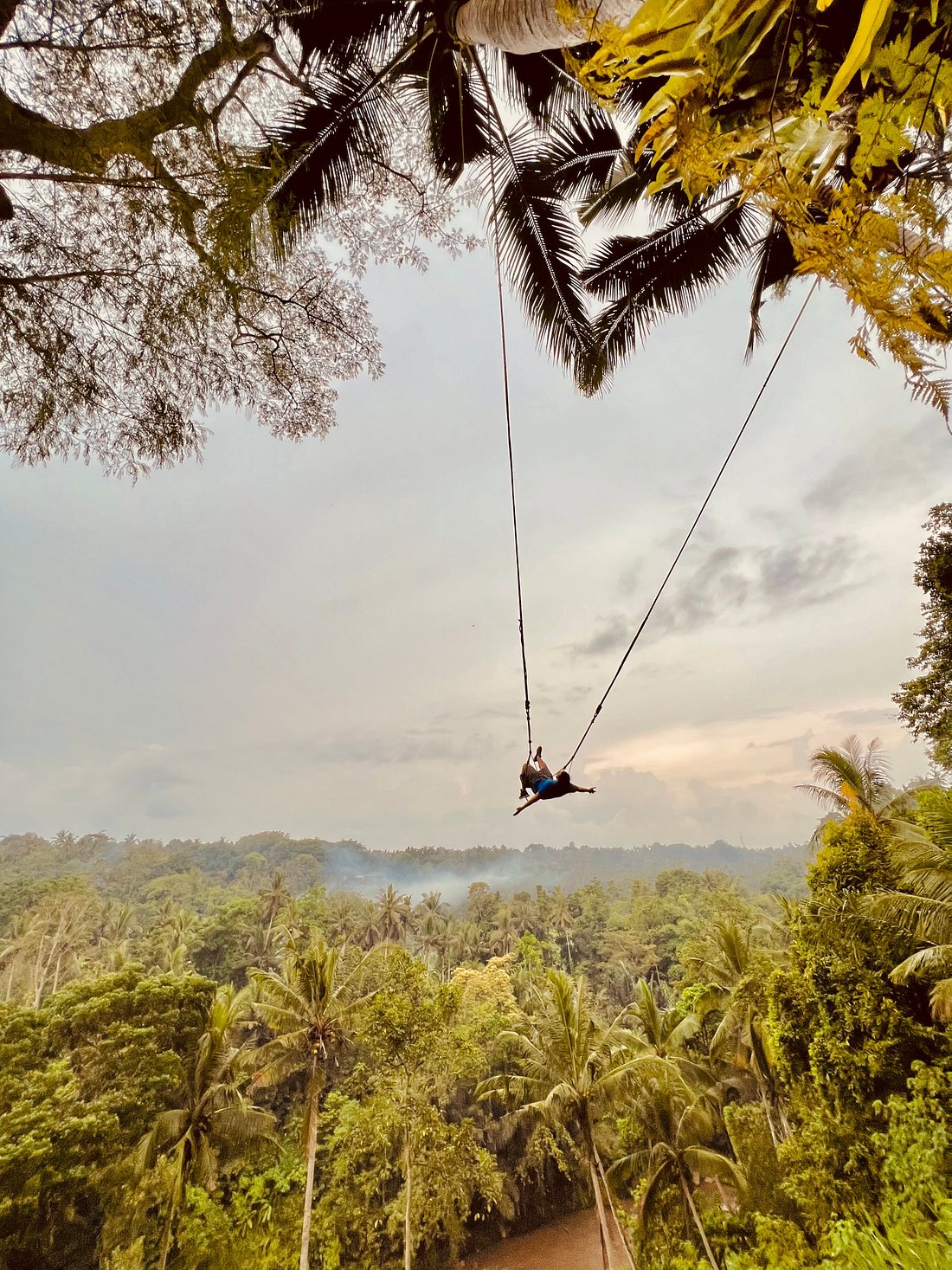 swing -bali-tour-private